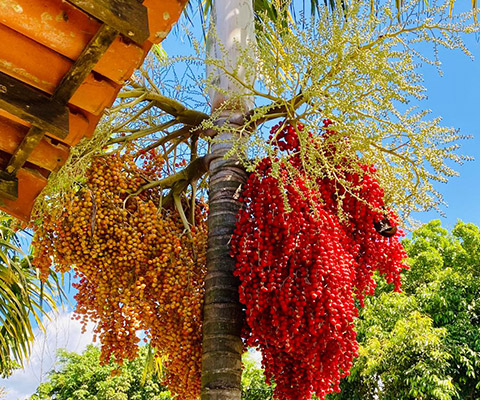 Kasa Pilates - Vanessa Quercia